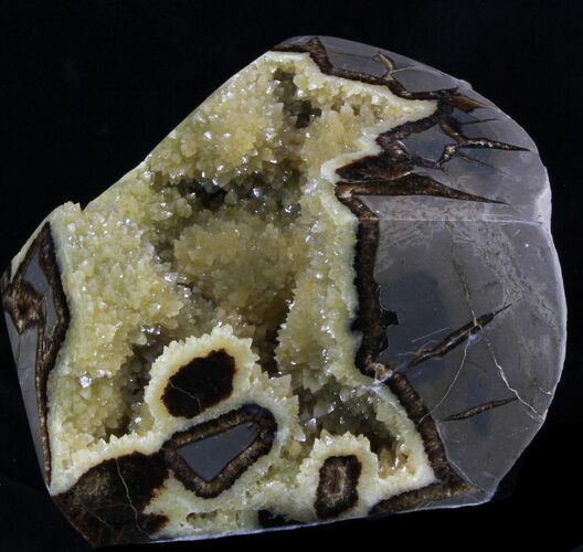 Crystal Filled Septarian Geode - Utah #33093